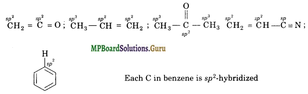 MP Board Class 11th Chemistry Solutions Chapter 12 Organic Chemistry Some Basic Principles and Techniques 1