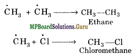 MP Board Class 11th Chemistry Solutions Chapter 13 Hydrocarbons 3