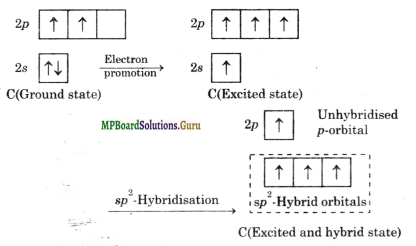 MP Board Class 11th Chemistry Solutions Chapter 4 Chemical Bonding and Molecular Structure 15