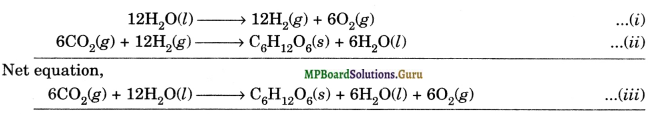 MP Board Class 11th Chemistry Solutions Chapter 8 Redox Reactions 31