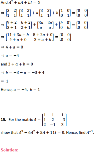 MP Board Class 12th Maths Solutions Chapter 4 Determinants Ex 4.5 15