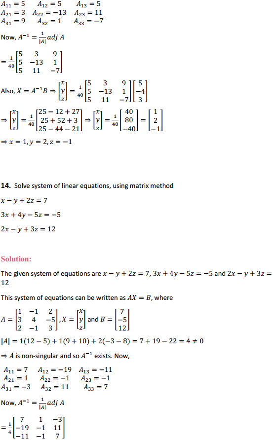 MP Board Class 12th Maths Solutions Chapter 4 Determinants Ex 4.6 13